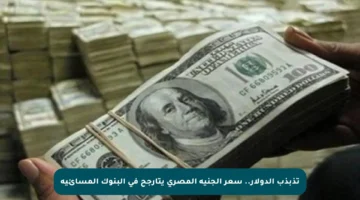 تذبذب الدولار.. سعر الجنيه المصري يتأرجح في البنوك المسائية
